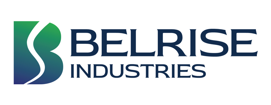 Belrise-Industries-Logo